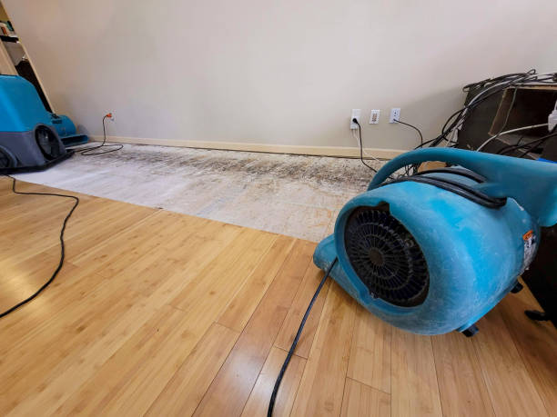 Professional Structural Drying technician working in Boerne, TX